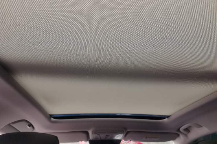 Used Hongqi HS5 2023 2.0T Qixiang Pro Edition
