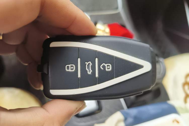 Used Venucia V 2021 260T Tianwang Edition
