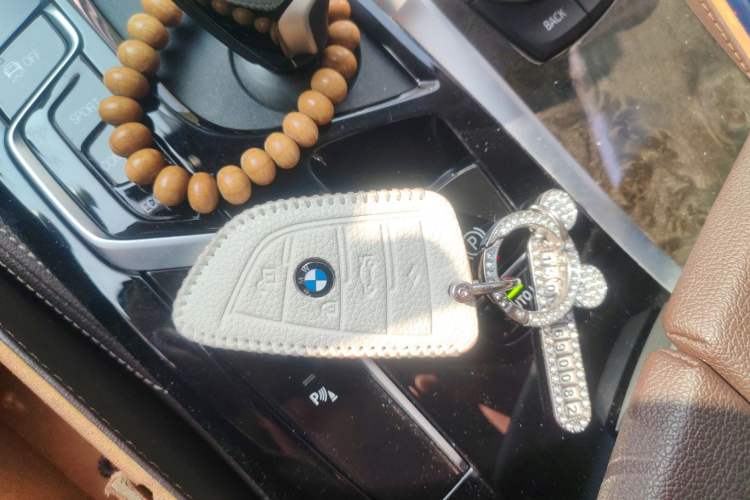 Used BMW 5 Series 2021 Updated Version 525Li Luxury Package
