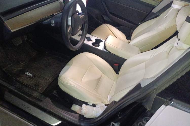 Used Tesla Model 3 2020 Standard Range Rear-Wheel Drive Upgraded Version