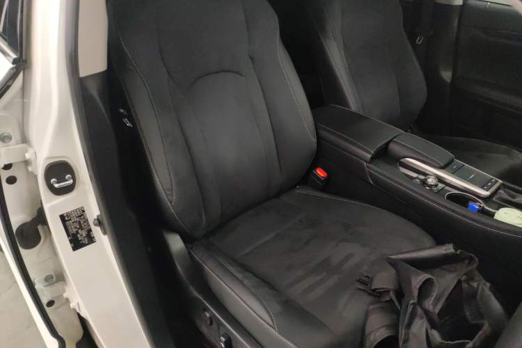 Used Lexus RX 2020 Revised Version 300 Two-Wheel Drive Elite Edition