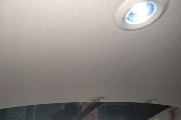 Used XPeng G3 2020 520i Luxury Edition Headliner