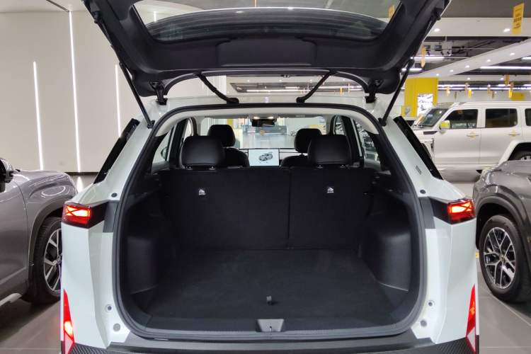 Used Venucia VX6 2024 450 Travel Edition
