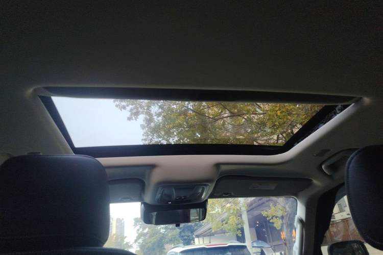 Used Tank 300 2025 2.0T Conqueror