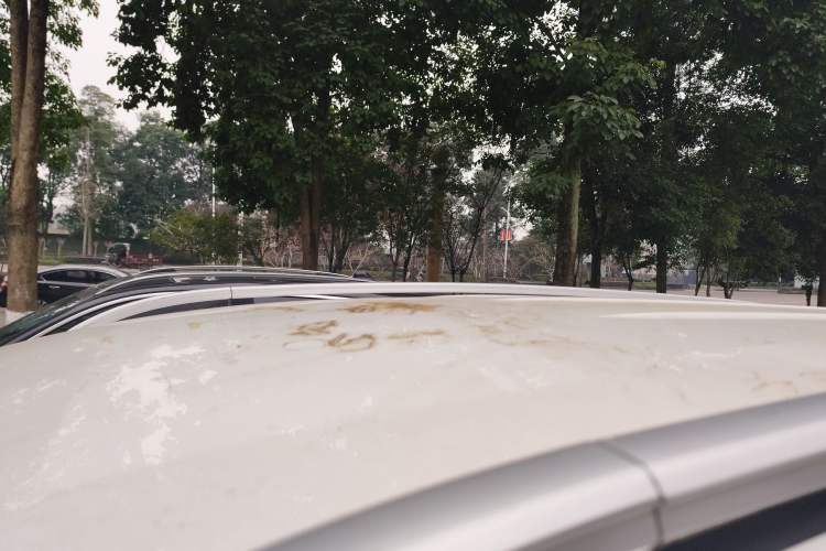 Used Baojun 730 2021 1.5L Manual Fashion Version 7 Seats Roof