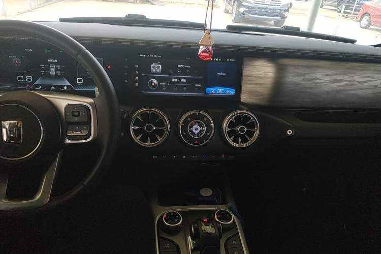 Used Tank 300 2024 2.0T Conqueror