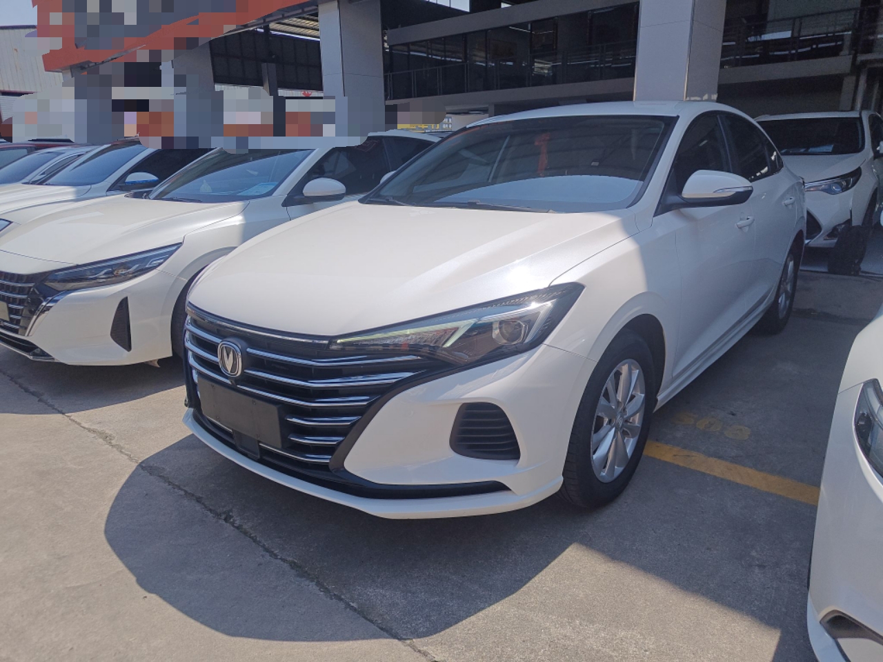 Parte inferior delantera