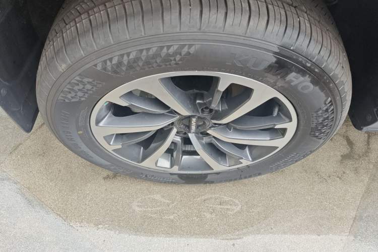 Used Haval H9 2024 2.0T Gasoline All-Wheel-Drive Extreme Edition