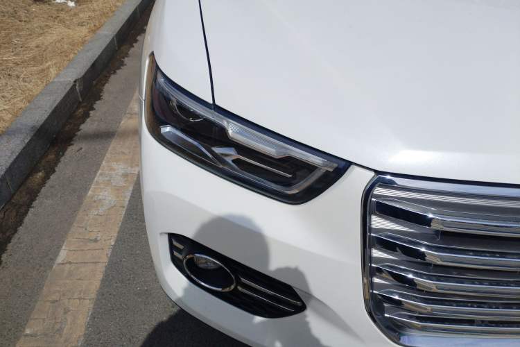 Used Haval H6 2017 Red Label 2.0T Automatic Two-Wheel Drive ZhiShang Model