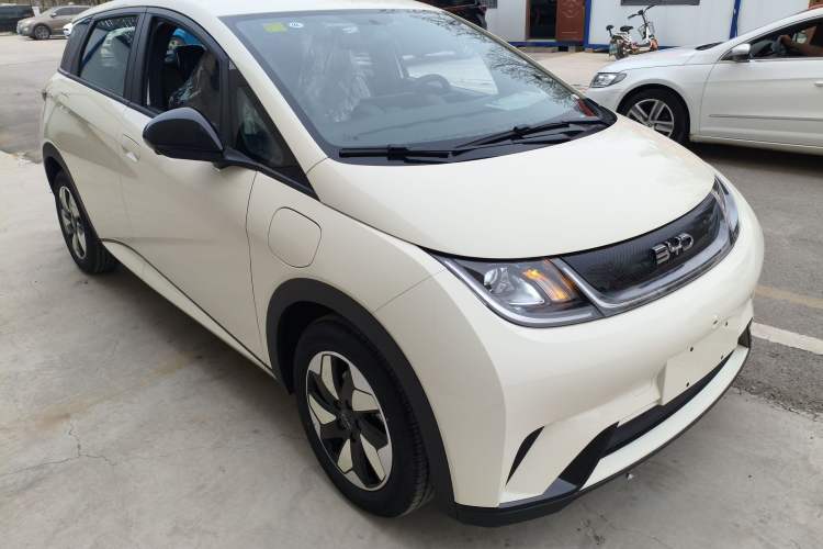 Used BYD Dolphin 2025 420km Free Edition
