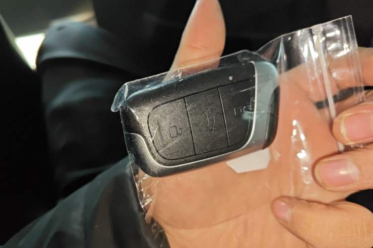 Used Chery Little Ant 2023 301km True Love Plus Version Ternary Lithium
