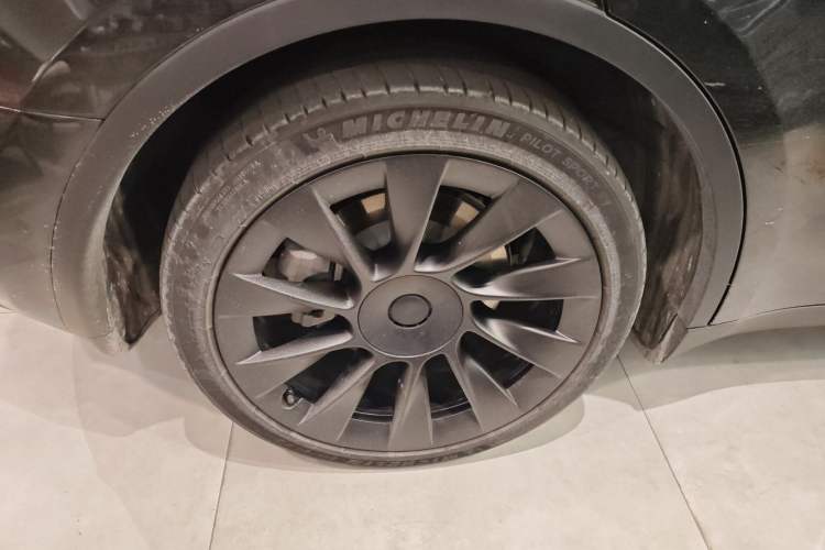 Used Tesla Model Y 2021 Standard Range Rear-Wheel Drive Version
