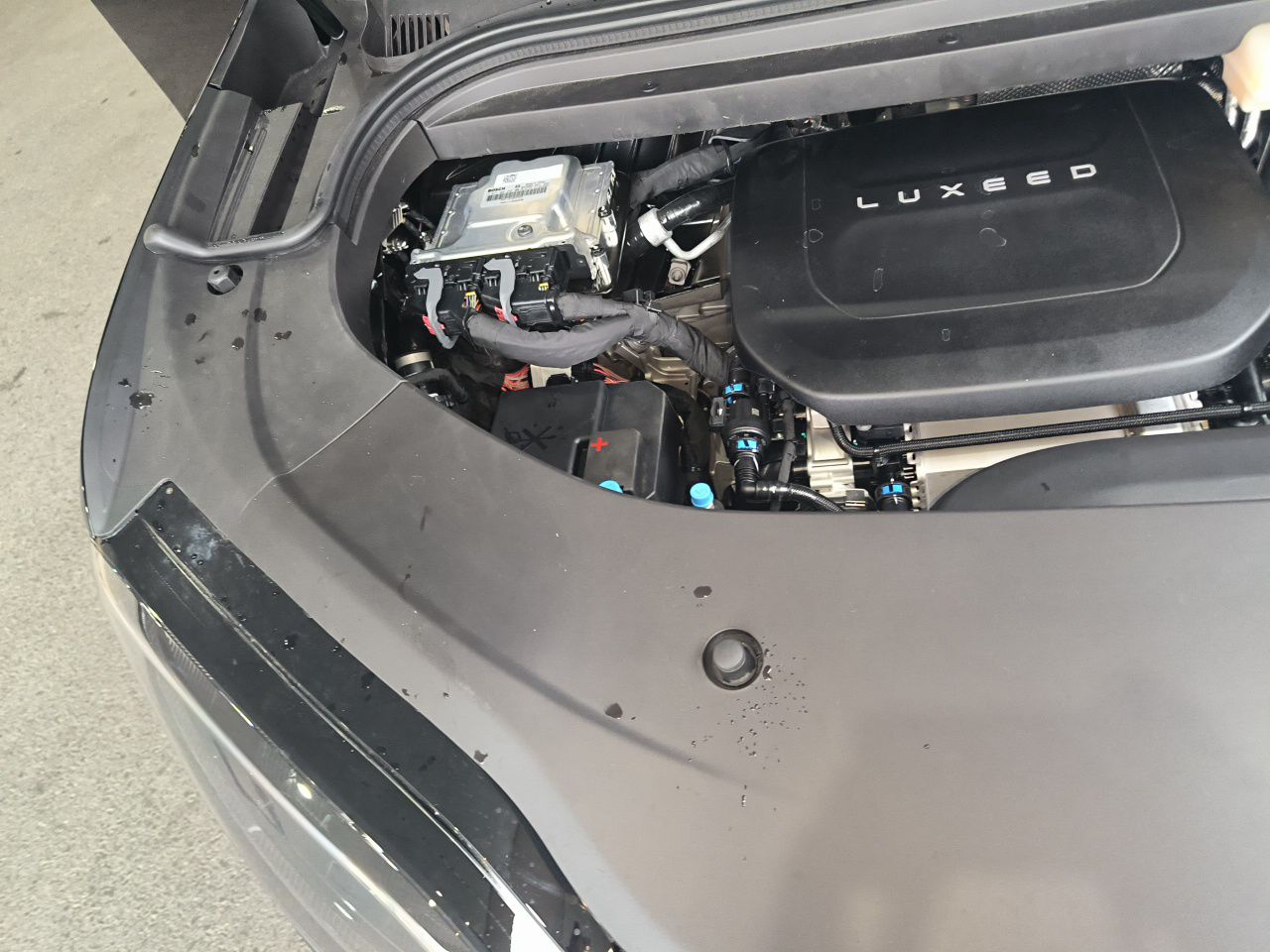  V9