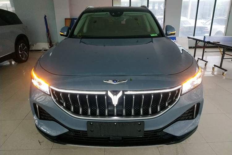 Used VOYAH FREE 2021 Four-Wheel Drive Extended-Range First Edition Commemorative Edition Exclusive Luxury Package Front