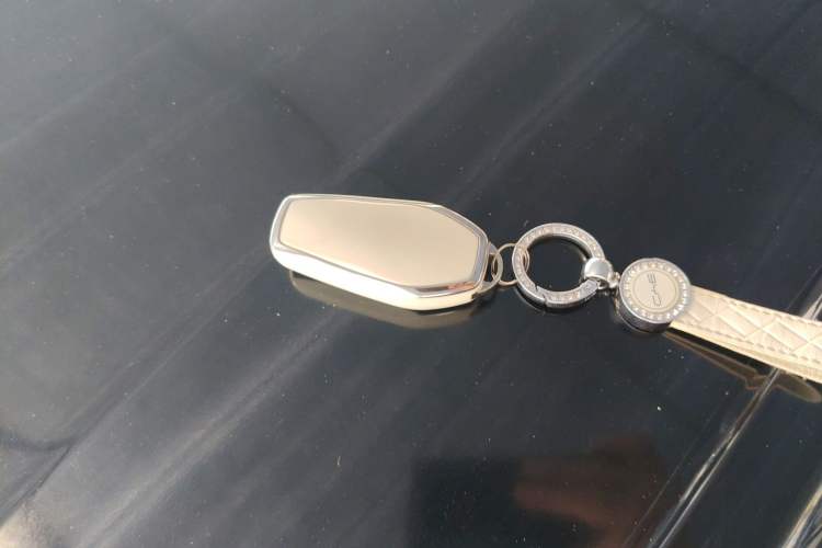 Used BYD Seagull 2024 Honor Edition 305km Dynamic Version Vehicle Key