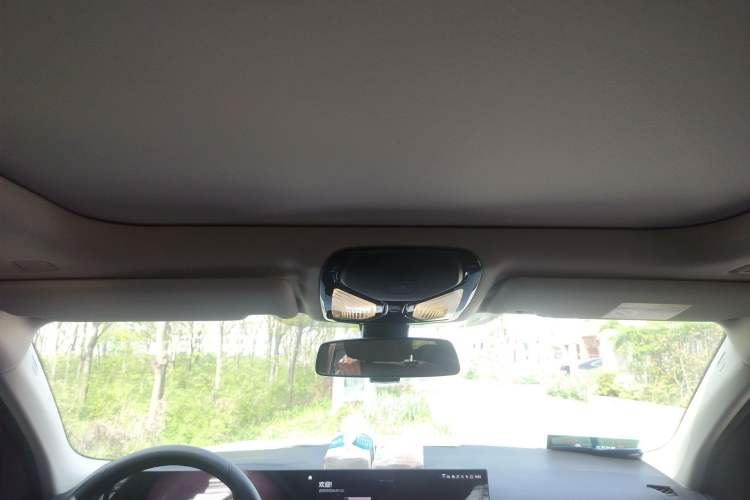 Used BMW 3 Series 2023 320Li M Sport Package Headliner