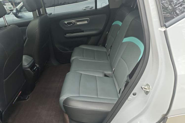 Used AION Y 2024 Plus 610 Intelligent Driving Version Left Rear Seat