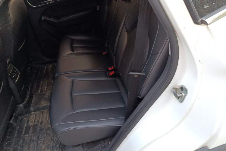 Used Roewe RX5 2016 20T Two-Wheel Drive Automatic Internet Smart Edition Left Rear Seat