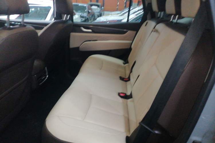 Used Dongfeng Fengdu Paladin 2023 2.0T Four-Wheel Drive Luxury Edition