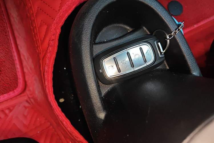 Used ORA Black Cat 2021 301 km Basic Version