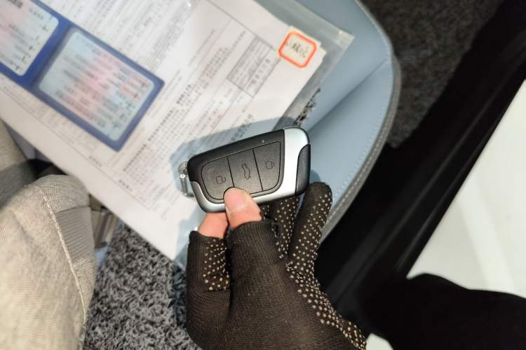 Used Chery Little Ant 2024 251km True Love Edition