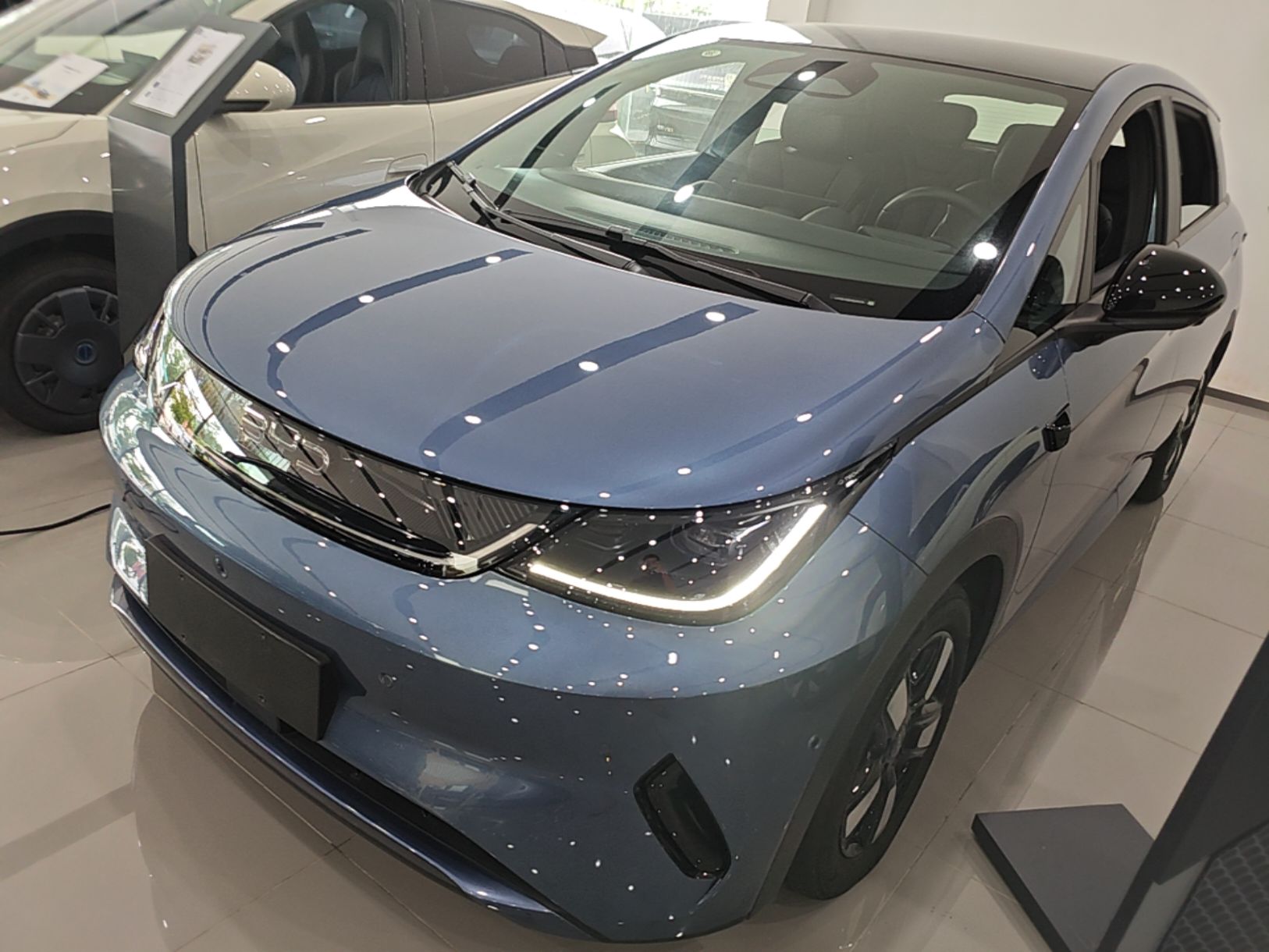 Under Front Bumper
