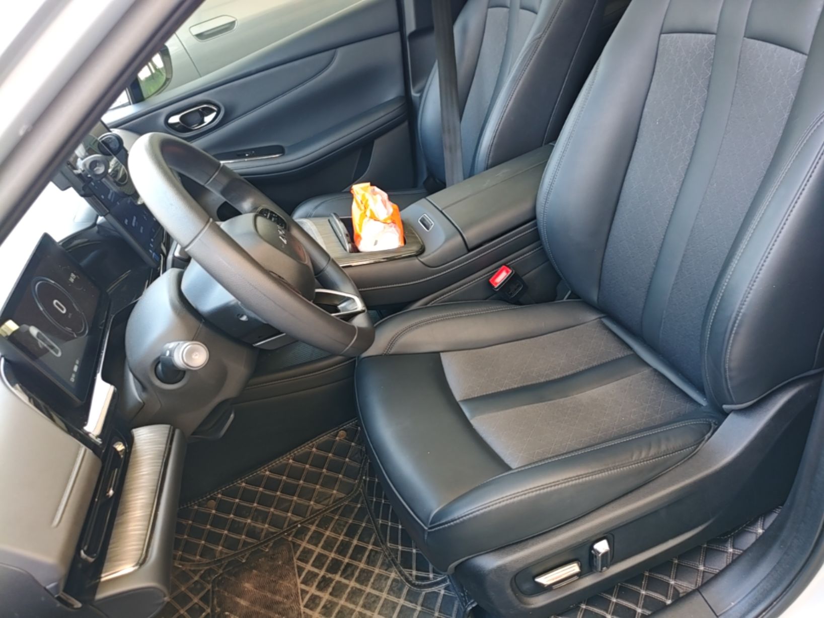 Interior delantero