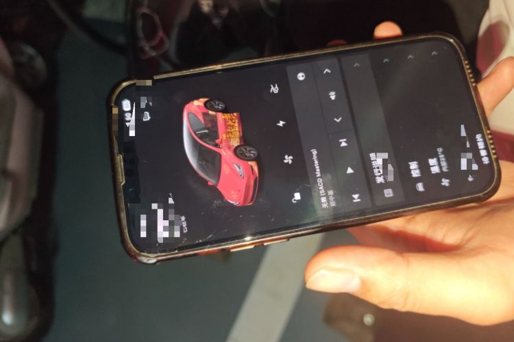 Used Tesla Model Y 2024 Rear-Wheel-Drive Version