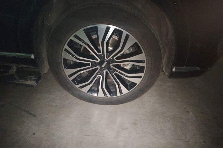 Used Wey Lanshan 2023 Four-Wheel Drive Ultra-Long Range Version
