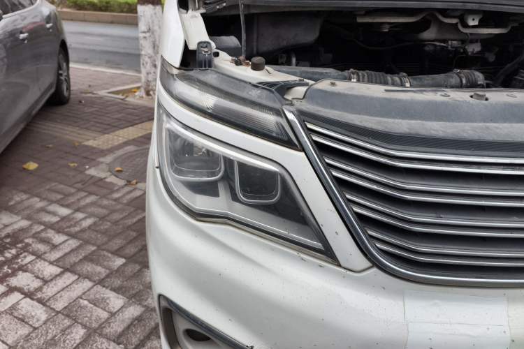 Used FORTHING Lingzhi 2017 M5L 1.6L 7-Seater Comfort Model
