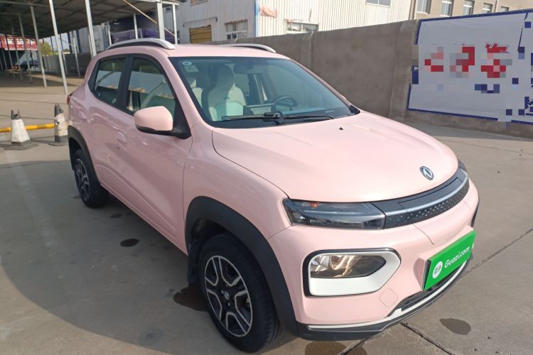 Used Dongfeng NAMMI EX1 2023 PRO Light Wind Edition Lightning Model
