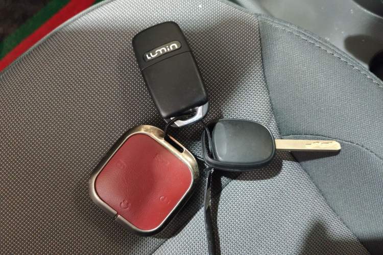 Used CHANGAN NEVO Lumin 2023 205km Xiangqin Version