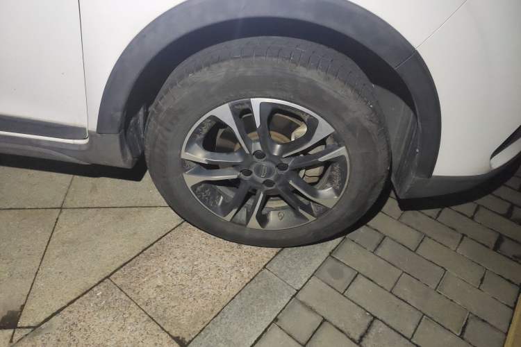 Used Geometry EX3 Kung Fu Cow 2021 Tough Bull Cow