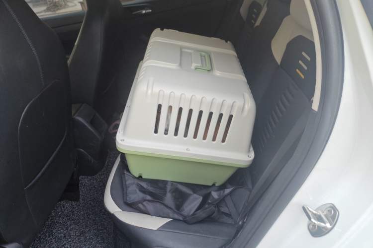 Used Volkswagen Polo 2021 Plus 1.5L Automatic Colorful Tech Edition Left Rear Seat