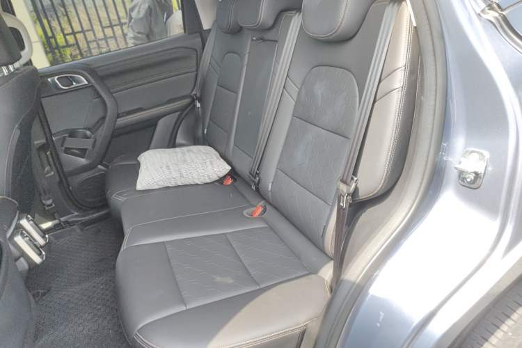 Used Haval DARGO 2024 2.0T DCT Chinese Rural Dog Edition