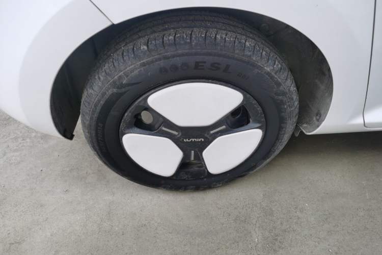 Used Qiyuan Lumin 2023 205km Xiangqin Version