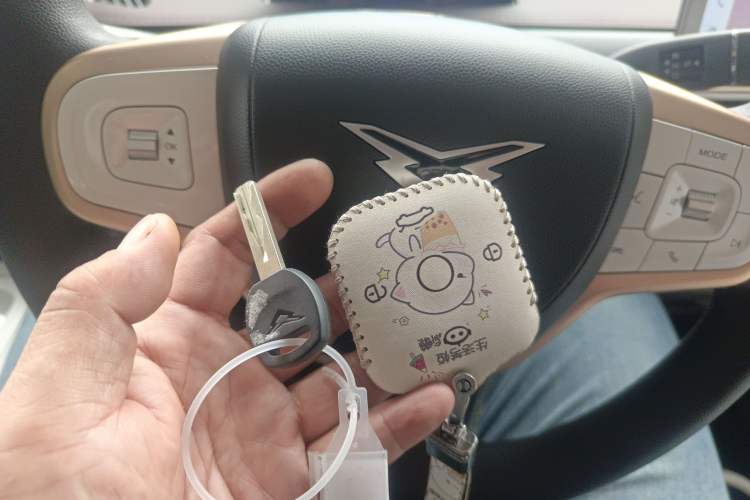 Used Cowin October 2025 Mate 300km Surfing Edition