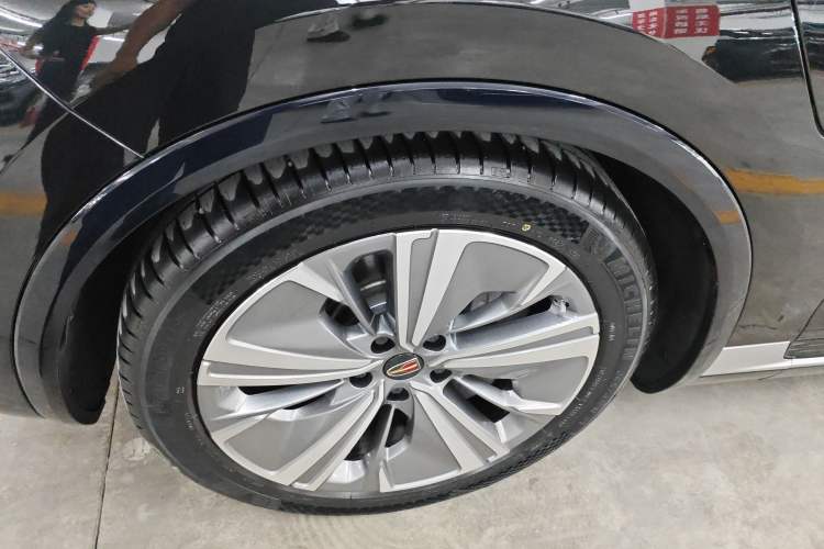 Used Hongqi E-HS9 2022 660 km Range Flagway Edition Six Seats
