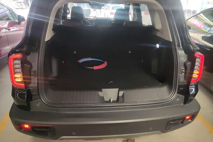 Used Haval DARGO 2024 2.0T DCT Chinese Rural Dog Edition
