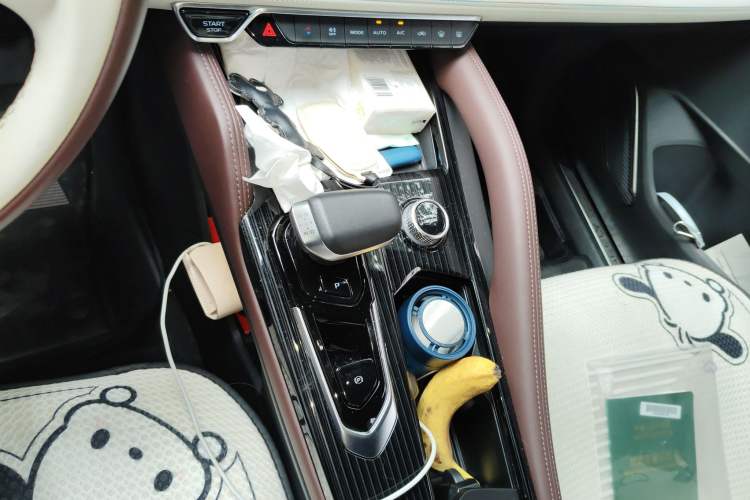 Used Geely Auto Monjaro L 2021 2.0TD DCT EVO Two-Wheel Drive Prestige Version