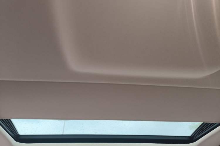 Used BMW 5 Series 2017 528Li Leading Model Headliner