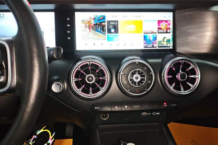 Used Tank 300 2024 2.0T Crosser
