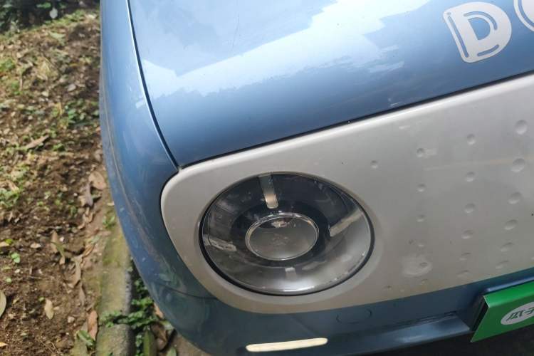 Used ORA Black Cat 2019 351 km Lingzhi Edition Right Front Headlight