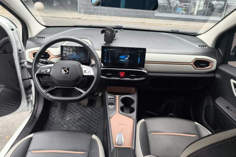 Used SOL E10X 2022 Flower Fairy Style Baby's Breath