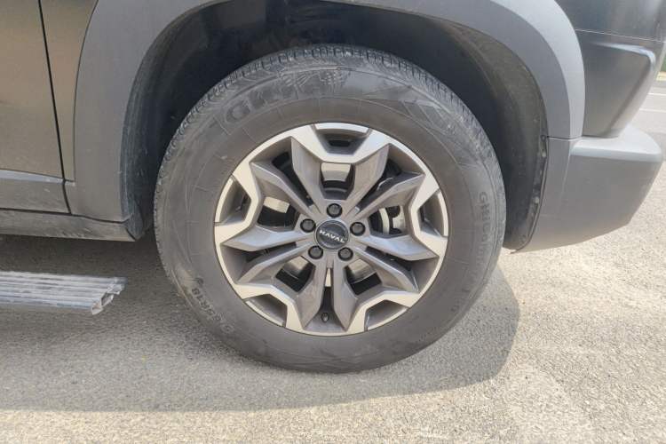 Used Haval DARGO 2024 2.0T DCT Chinese Rural Dog Edition