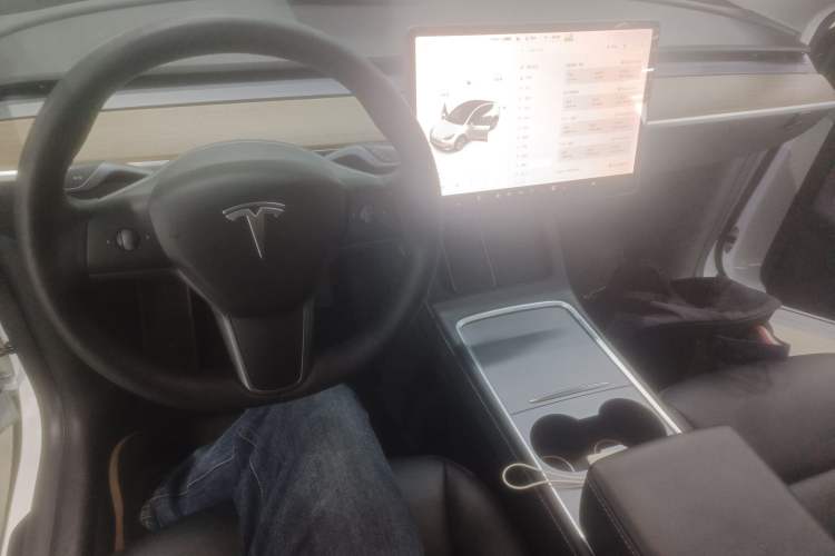 Used Tesla Model Y 2021 Standard Range Rear-Wheel Drive Version
