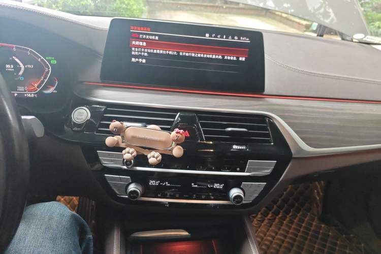 Used BMW 5 Series 2020 530Li Leading Edition Luxury Package