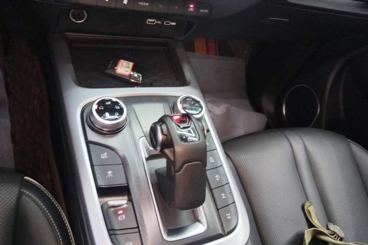 Used Tank 300 2022 2.0T Border Limited Edition