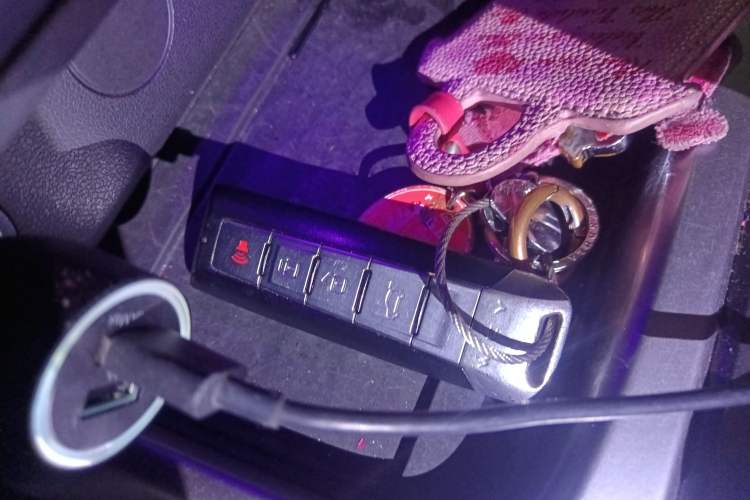 Used Tank 300 2021 Off-Road Edition 2.0T Conqueror