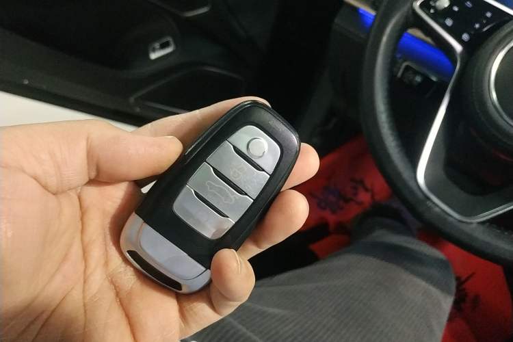 Used Hongqi H9 2020 2.0T Smart Connect Flagship Edition